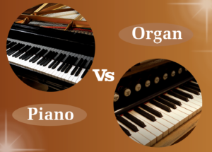 So sánh điểm khác nhau giữa đàn piano điện và đàn organ