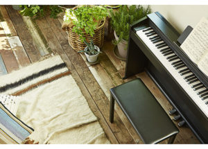 Mua đàn Piano điện Casio PX-870 ở đâu uy, tín chính hãng?