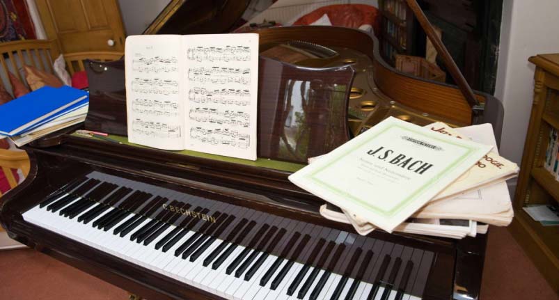 Học Mozart cách đàn piano 1